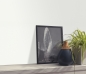 Preview: ELLE Decoration 3 more beauty - 10335-01