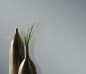 Preview: ELLE Decoration 3 more beauty - 10335-10