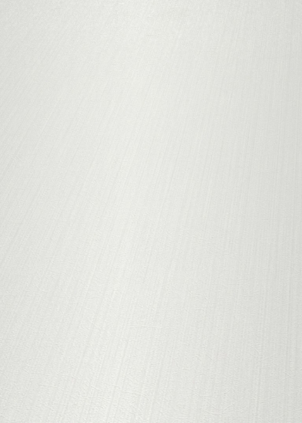 Erismann Fashion for Walls 10004-25