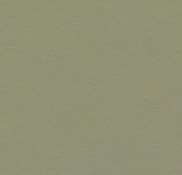 Marmoleum Click Linoleum rosemary green, 30 x 30 cm
